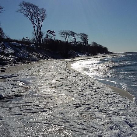 *Strandaster* In Zingst - 100 M Bis Strand, Ruhig, Zentral. Buitenkant foto