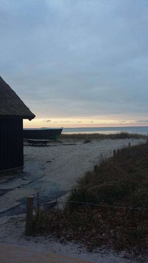 *Strandaster* In Zingst - 100 M Bis Strand, Ruhig, Zentral. Buitenkant foto
